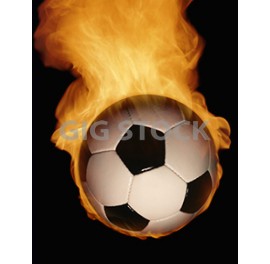 Ball Sports 16